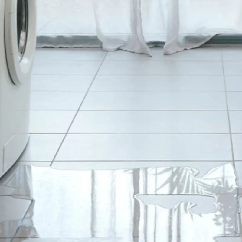 Appliance Leak Cleanup in Seminole County, GA