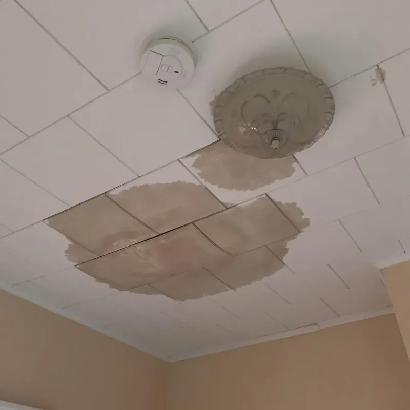Ceiling Water Damage Repair in Seminole County, GA